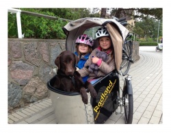 Копенгаген избавился от всех активов в топливных компаниях