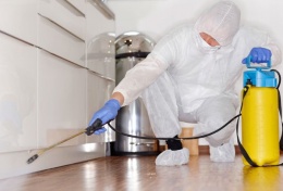 ТОО «AG Disinfection services»