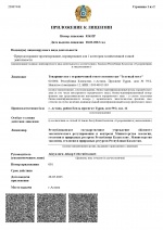 Приложение 1 к лицензии