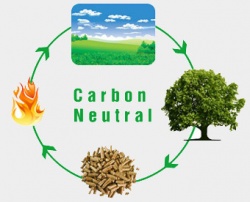 Крупнейшая угольная ТЭС Дании полностью перешла на биомассу