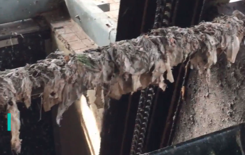 Screen Shot 2017-11-06 at 9.46.26 AM.png